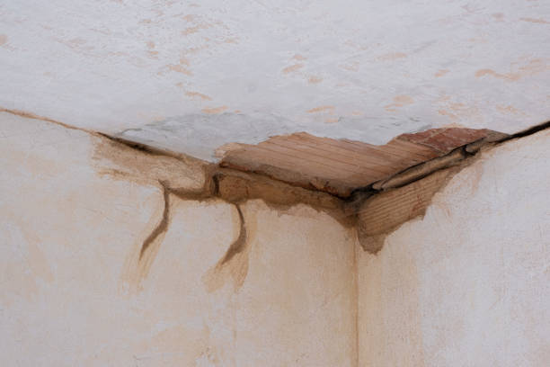 Best Water damage restoration cost  in Golden Shores, AZ