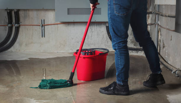 Best Local water damage restoration  in Golden Shores, AZ