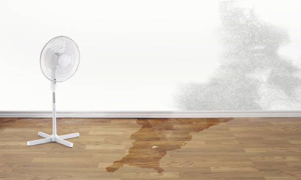 Best Sewage cleanup and water damage restoration  in Golden Shores, AZ