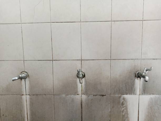 Best Water damage restoration near me  in Golden Shores, AZ
