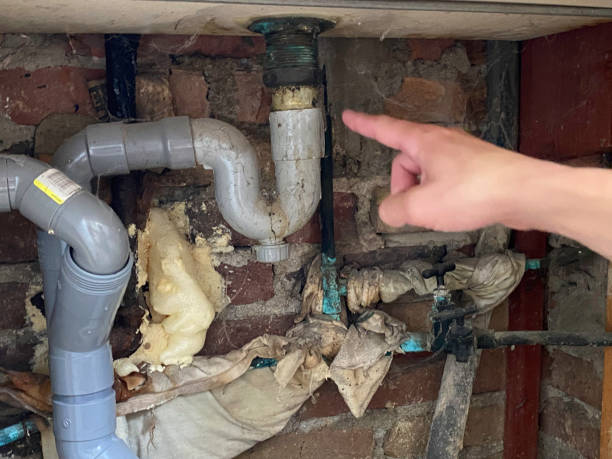 Best Water damage mitigation services  in Golden Shores, AZ