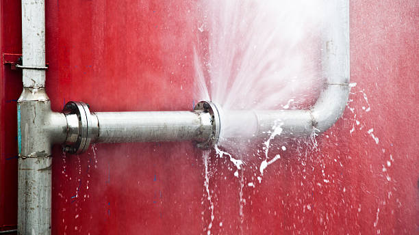 Best Professional water damage repair  in Golden Shores, AZ